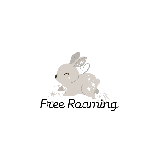 free roaming rabbit